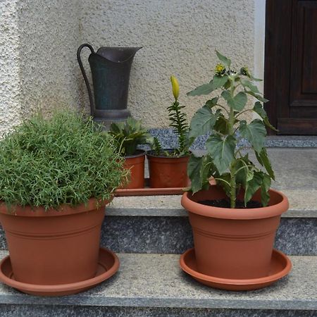 Da Fulvia Bed and Breakfast Ollano Buitenkant foto