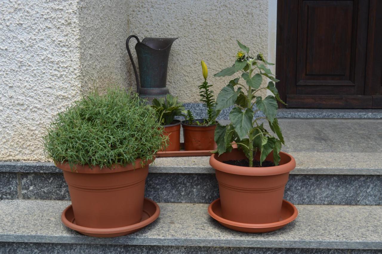 Da Fulvia Bed and Breakfast Ollano Buitenkant foto